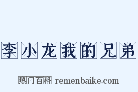 李小龙我的兄弟是什么意思的图片